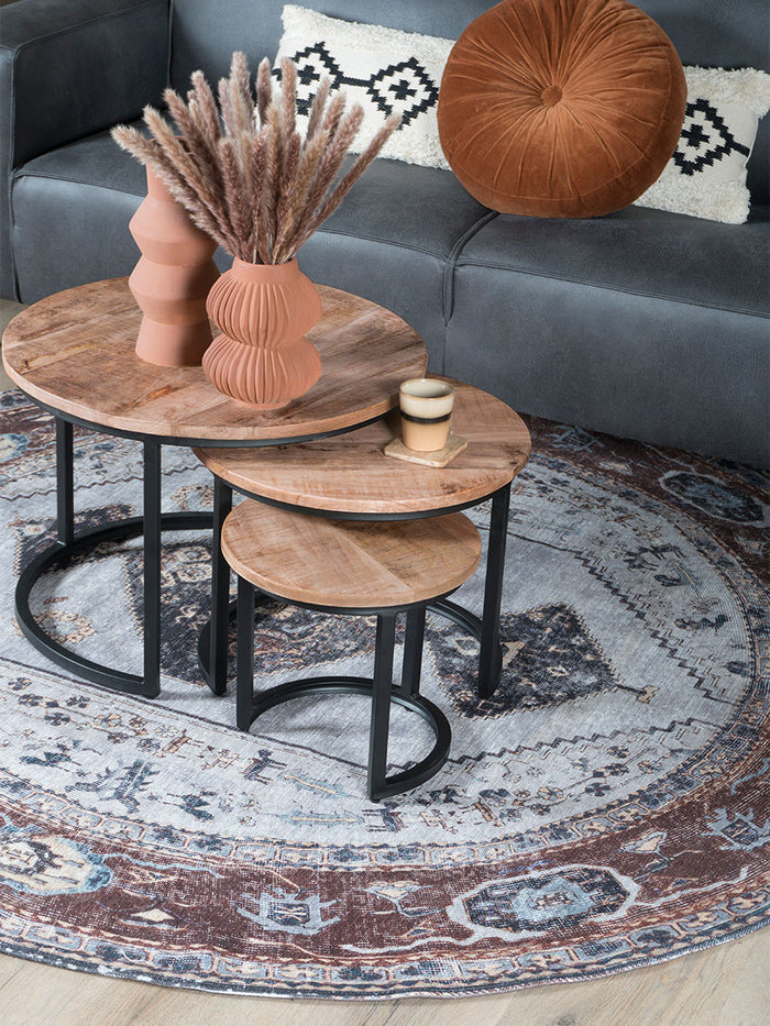 Home67 - Salontafel Set van 3 - Industriële Salontafelset Erjan -