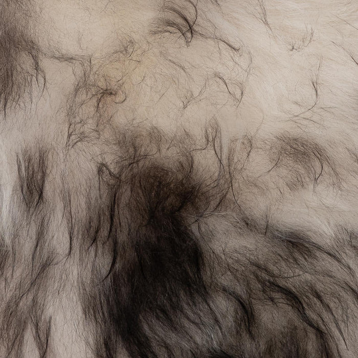 dc08e852-ef28-4528-a006-071152b91bfd-afbeelding5.jpg (2178020)