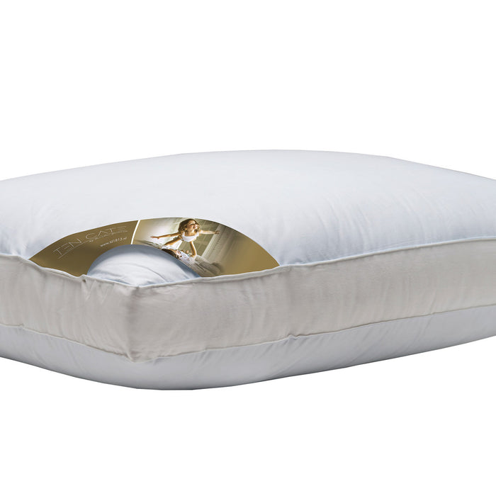 Ten Cate 3-Kamer Ganzendonzen Boxkussen 60x70 cm