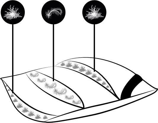Ten Cate 3-Kamer Ganzendonzen Boxkussen 60x70 cm