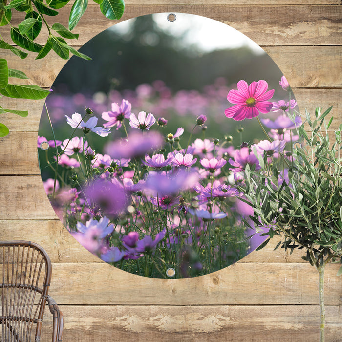 Sweet Living - Ronde Tuinposter Cosmea Bloemen- B100 x L100 cm