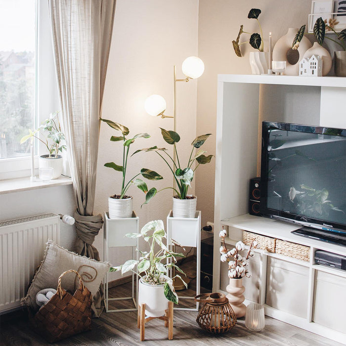 4dc7d15f-22db-4d7d-bf45-4fb304da03c7-sfeerbeeld.jpg (2180693)