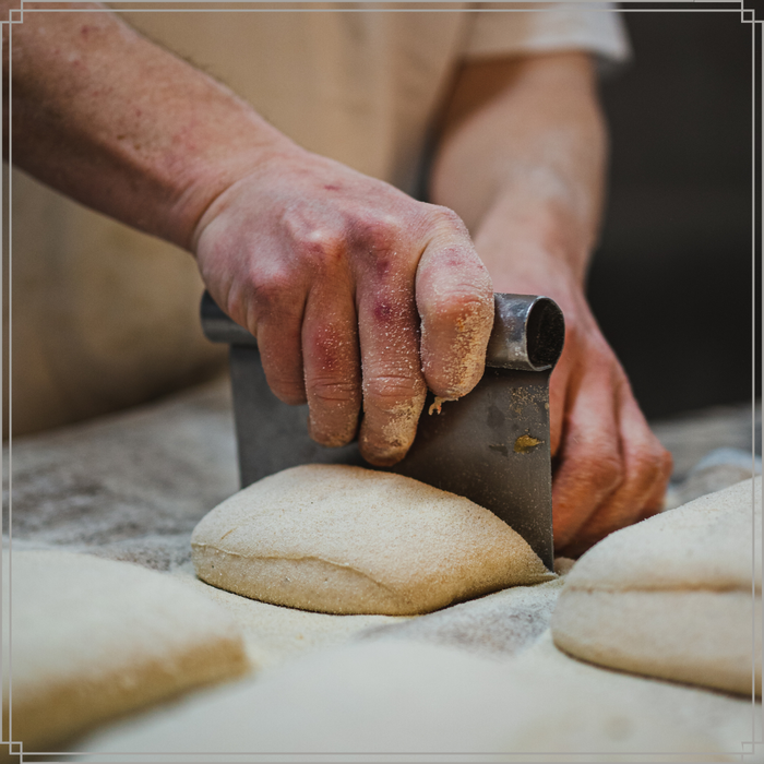 OTIX Deegschraper Deegsnijder RVS Deegsteker Schraper Pasta Snijder...