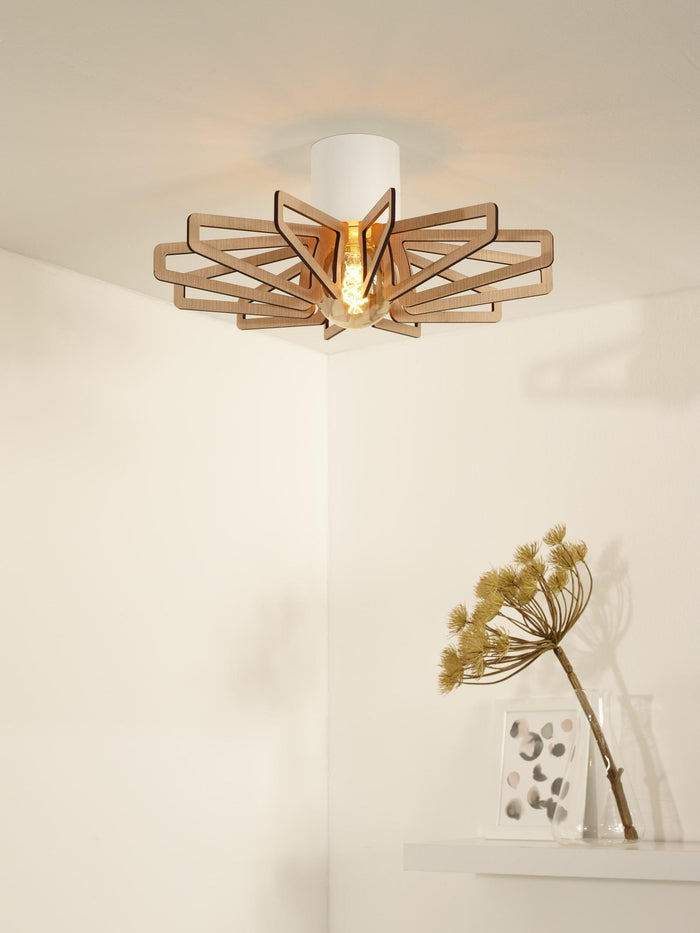 a450ee6d-0711-4202-9795-104ec50dc0d0-afbeelding4.jpg (2187679)