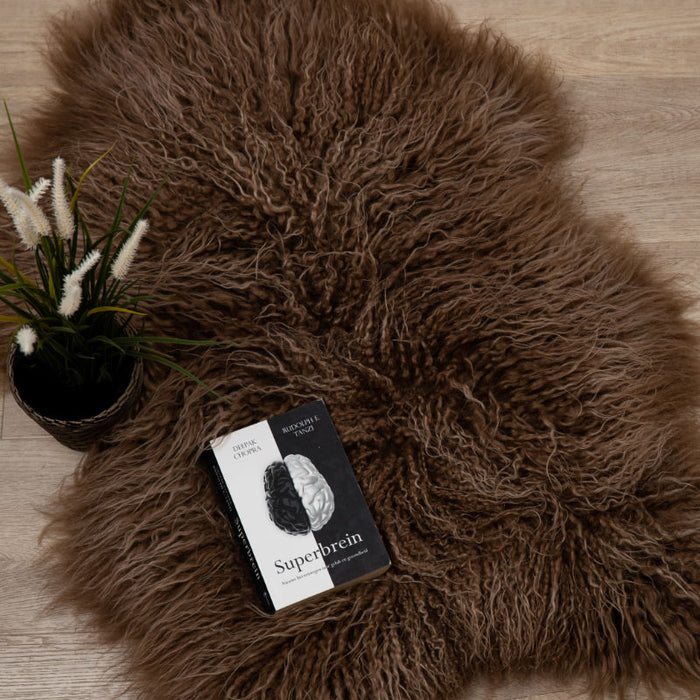 586a55d4-521b-403b-a65c-df12359de9a9-afbeelding3.jpg (2190647)