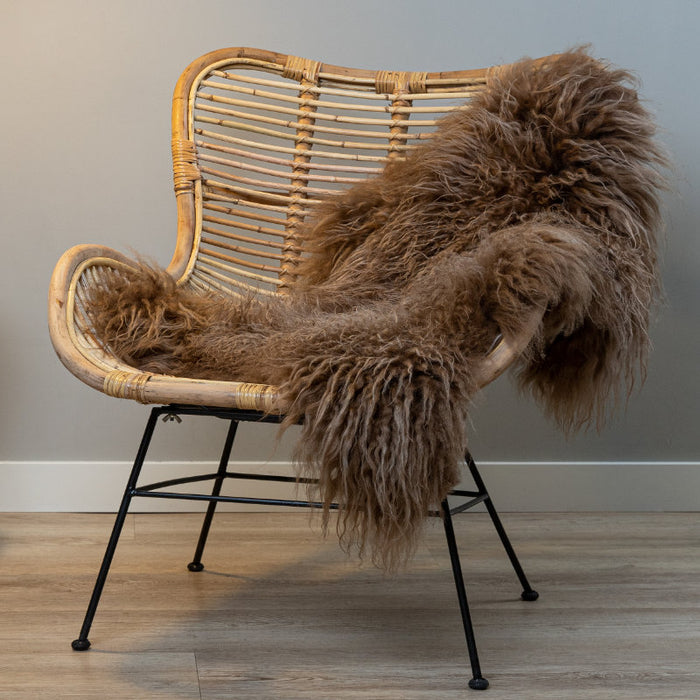 586a55d4-521b-403b-a65c-df12359de9a9-afbeelding4.jpg (2190648)