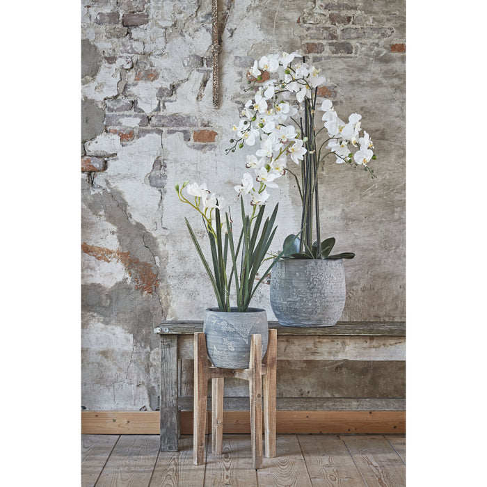 642ba363-670a-46d2-983d-3e65add53277-afbeelding8.jpg (2195214)