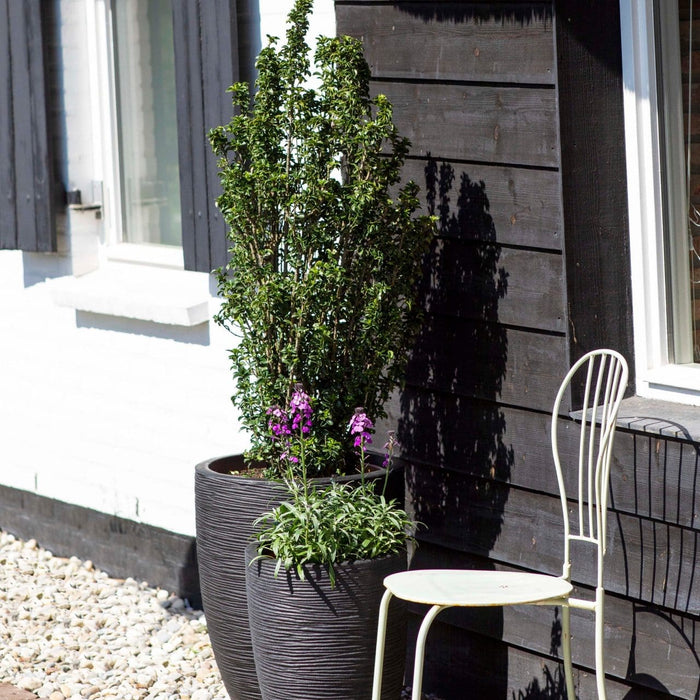 Capi Nature Rib Vaas elegant laag NL donkerbruin 36 x 47 cm