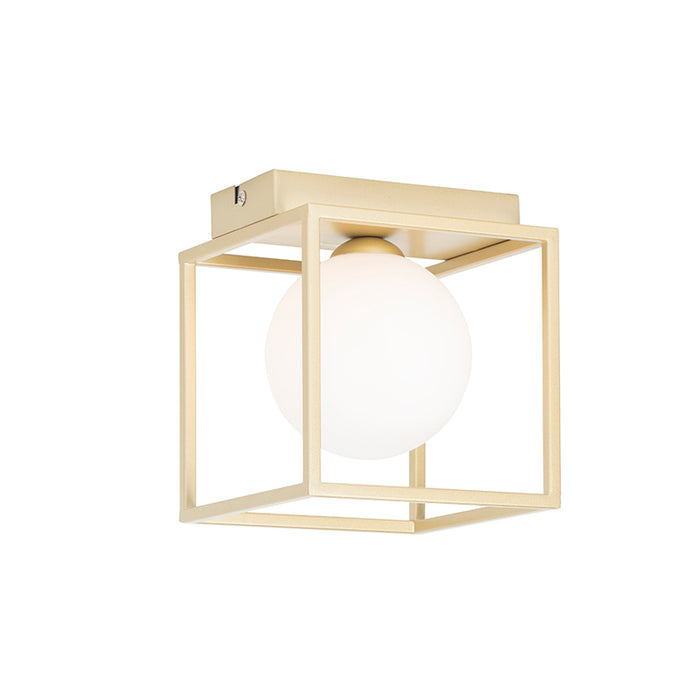 6e8e0f17-1db9-4732-9d68-8dd124f408d5-afbeelding9.jpg (2209115)