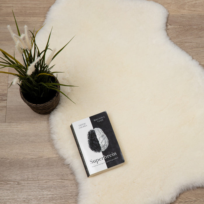 dbba1d2a-4f67-4579-9e78-8ff96c3f5d0a-afbeelding3.jpg (2219291)