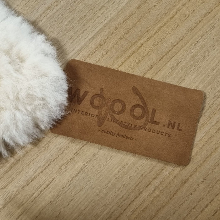 dbba1d2a-4f67-4579-9e78-8ff96c3f5d0a-afbeelding6.jpg (2219294)