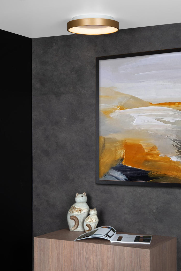 966b46bd-76e4-4814-b317-1e1b32254d26-afbeelding4.jpg (2257003)