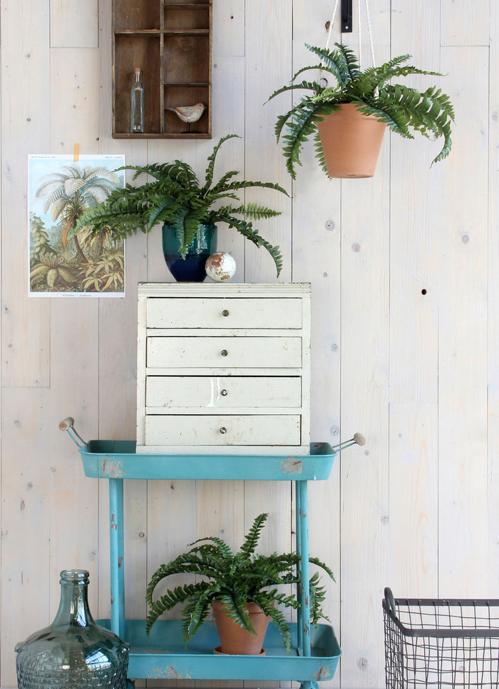 Mica Decorations Boston Varen Kunstplant - H42 x Ø50 cm - Groen