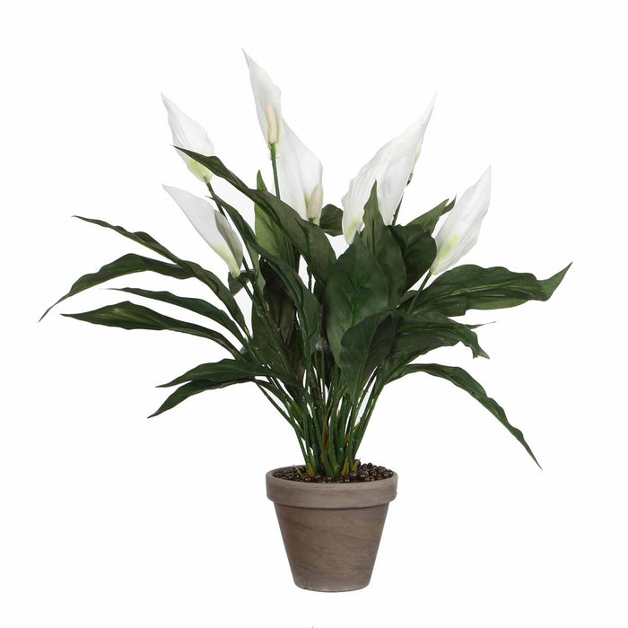 Mica Decorations Spathiphyllum Kunstplant - H50 x Ø40 cm - Wit