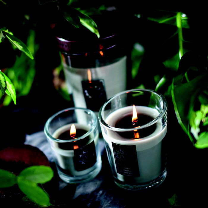 e9acf66e-edd0-426f-826c-a6b60d21f633-afbeelding11.jpg (2281830)