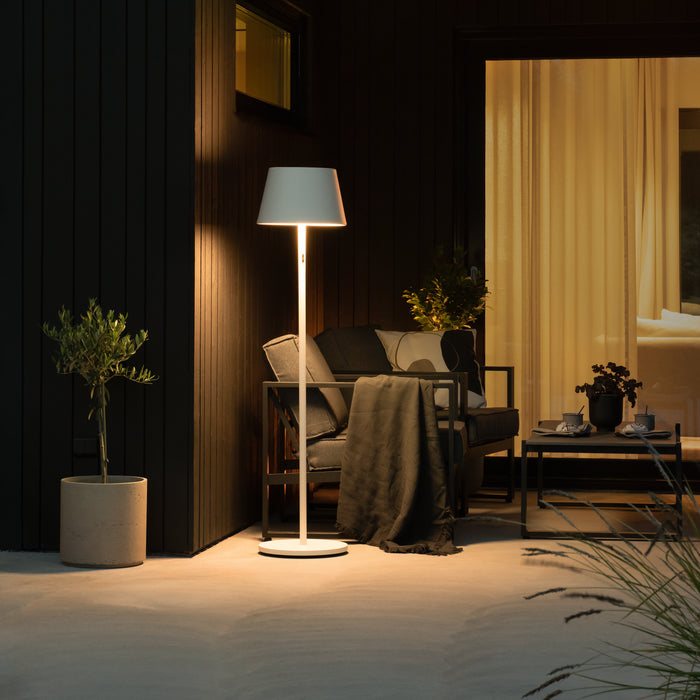 313369-x02.jpg (2282131)