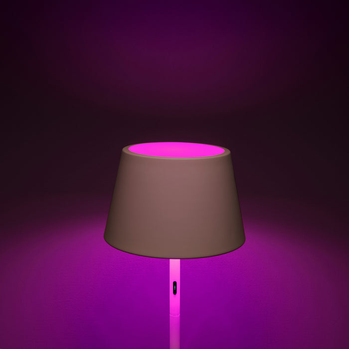 313369-x09.jpg (2282137)