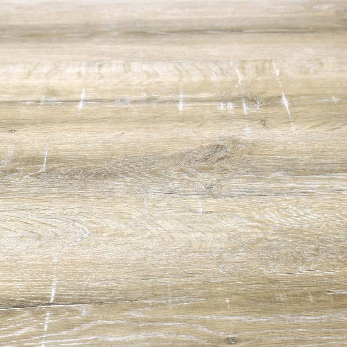 036db7ef-5976-4038-945a-31e15cdcd747-afbeelding7.jpg (2282522)