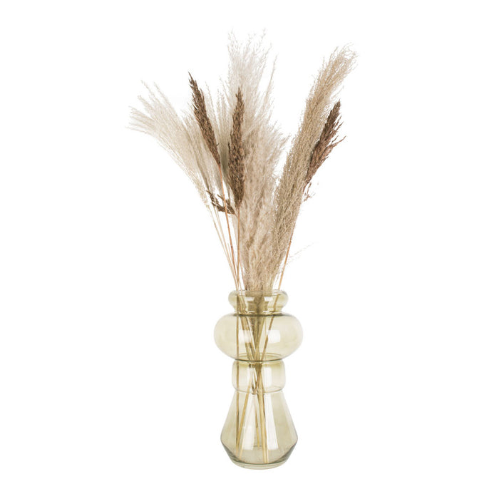 present time Morgana Vaas Medium - Mosgroen