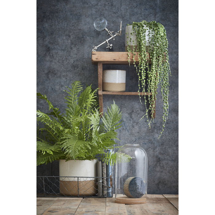 0f9fb170-bfb2-4a24-92c3-2443e4a1693e-sfeerbeeld.jpg (2293623)