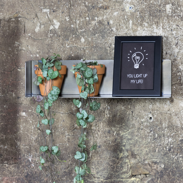 234378-x5.jpg (2303826)