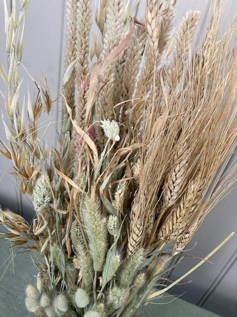 e9e9a2f4-9aff-4362-b9e8-b457aaeafcc4-afbeelding3.jpg (2305686)