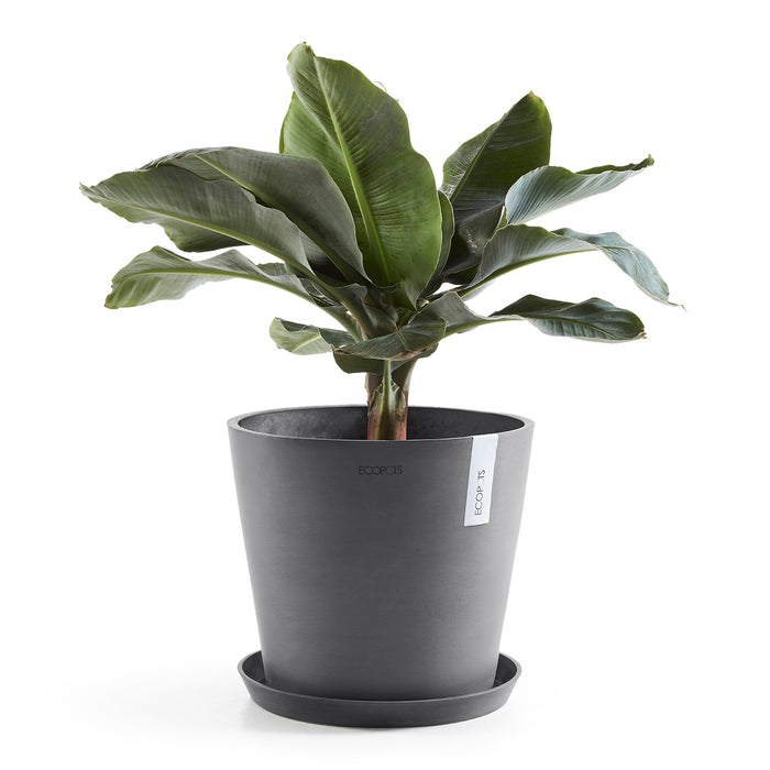 Ecopots Amsterdam 40