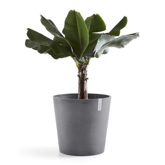 Ecopots Amsterdam 50