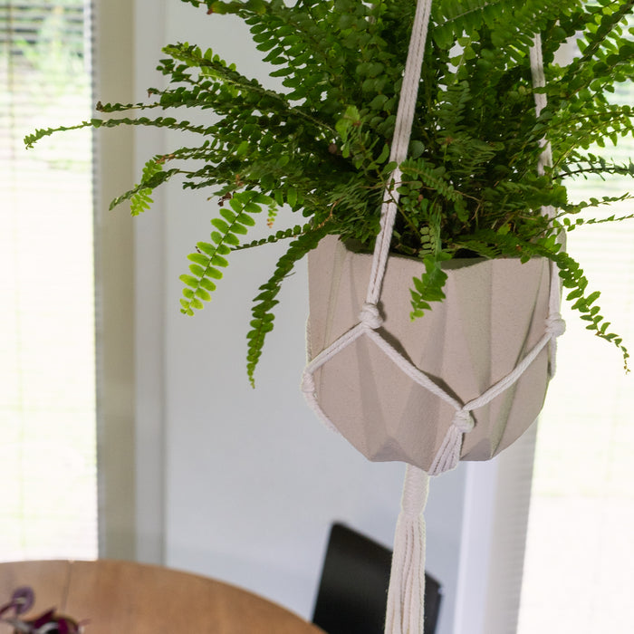 024b93d8-1269-4992-ab5d-3fdacfa39039-afbeelding6.jpg (2325452)