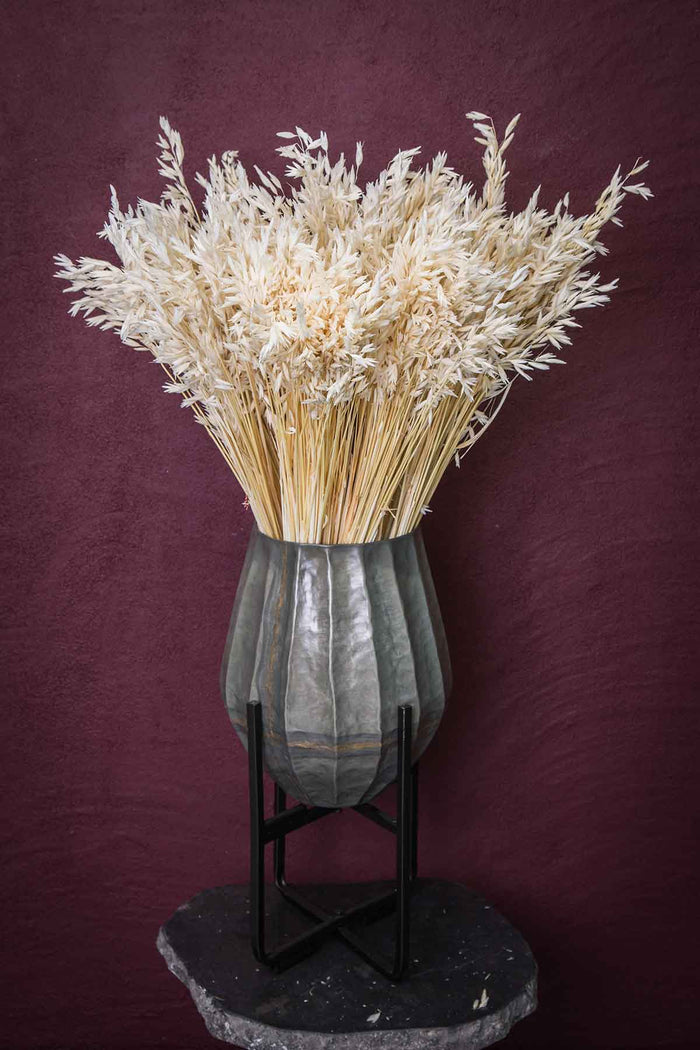 PTMD Gedroogde Bladeren Avena Grasstruik - 45 x 12 x 75 cm - Wit