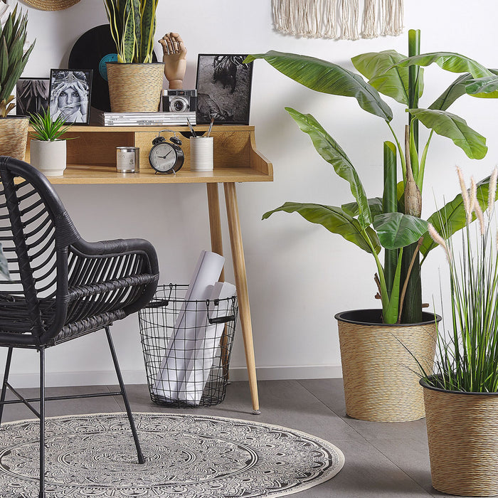 bdc5f45e-3e35-4ce0-a504-63f9b38dc61b-sfeerbeeld.jpg (2329294)