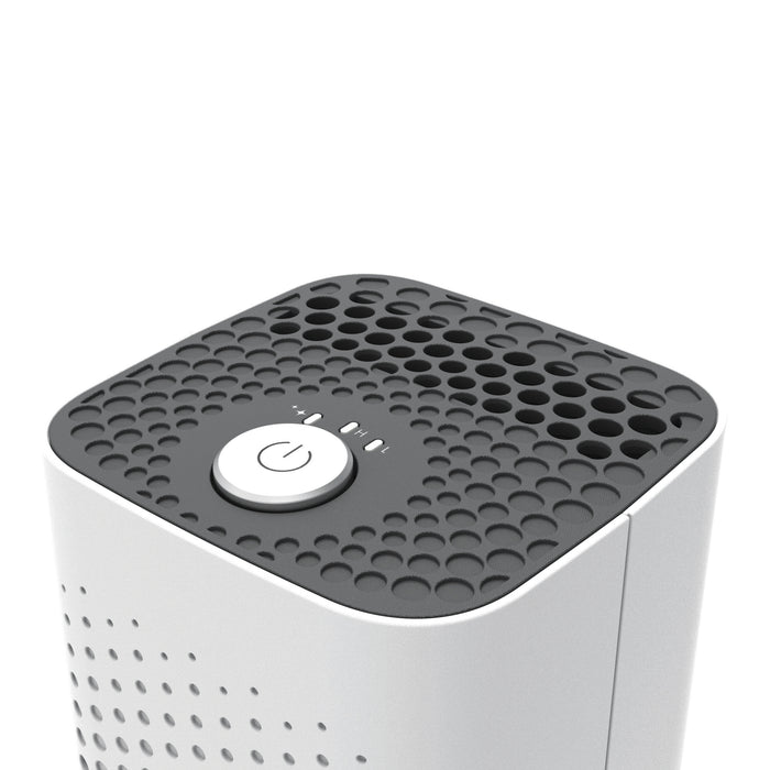 Boneco P50 Ionisator en Aromaverstuiver