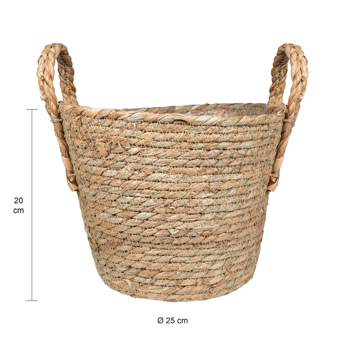 6a2e2ca8-9a71-4eec-b9e1-20dc9f6ab2ef-afbeelding4.jpg (2347541)