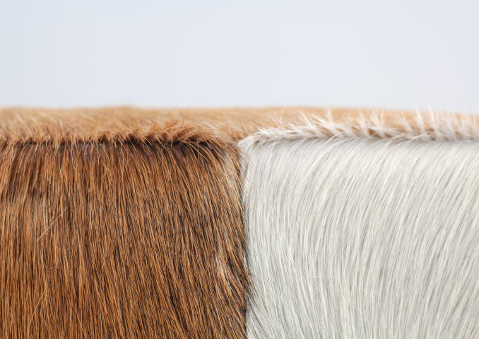 1922d85b-0a4b-4d2b-8dc4-25194204a90c-afbeelding4.jpg (2357339)