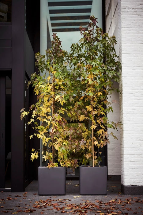 Elho Pure Soft Brick Plantenbak met Wielen 40 x 40 cm - Wit