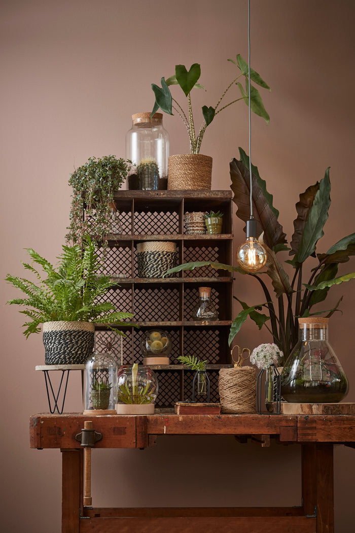 459d5724-b435-427d-9d8e-5d6e1e2dcd43-afbeelding10.jpg (2363703)