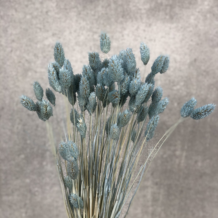 53c2f3e6-adb5-49b6-a5c4-30076440b8d9-afbeelding3.jpg (2391464)