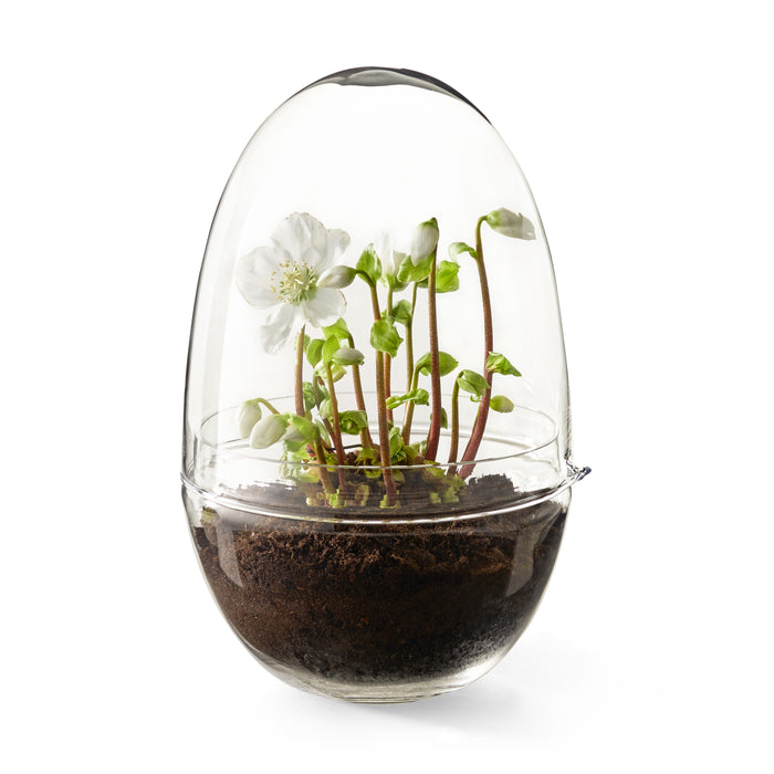 Design House Stockholm Grow Kweekkas