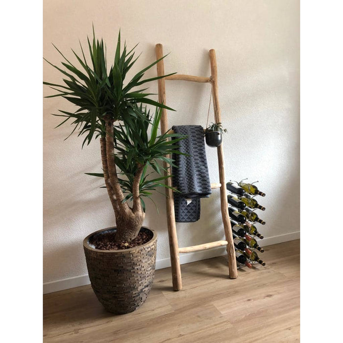 Zeller Metalen Wijnrek 12 Flessen