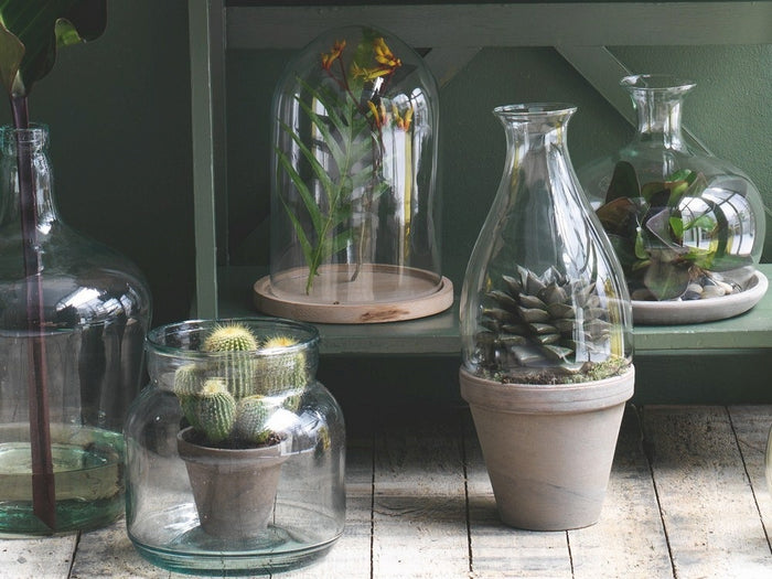 256425-2.jpg (2433933)