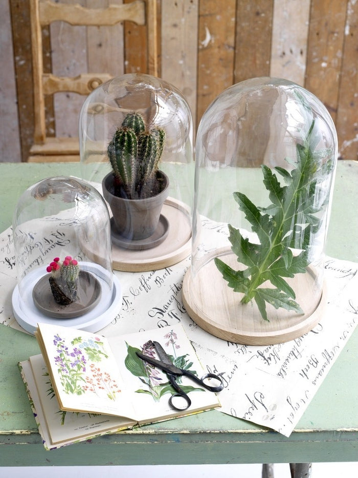 256425-3.jpg (2433934)