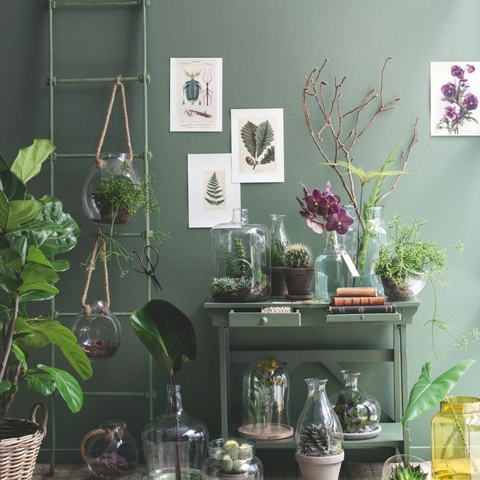 256425-5.jpg (2433936)