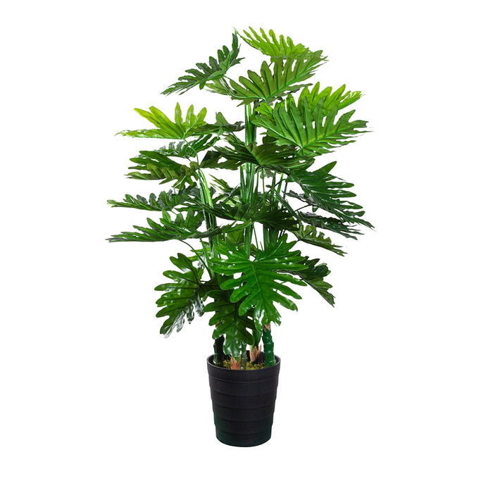 8773d63a-4aad-4f60-9762-52d46cdbf8f4-sfeerbeeld.jpg (2442247)