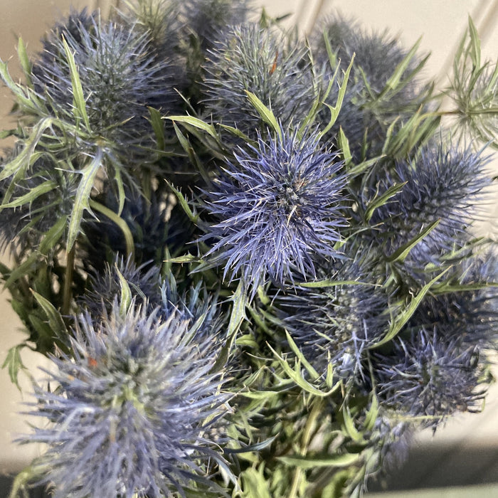 f0b13797-d57f-4fa4-a366-8d7c48f355cc-afbeelding3.jpg (2449470)