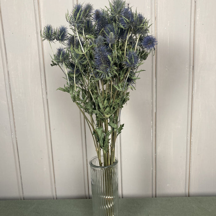 f0b13797-d57f-4fa4-a366-8d7c48f355cc-afbeelding4.jpg (2449471)