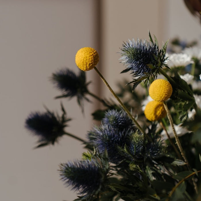 f0b13797-d57f-4fa4-a366-8d7c48f355cc-afbeelding6.jpg (2449473)