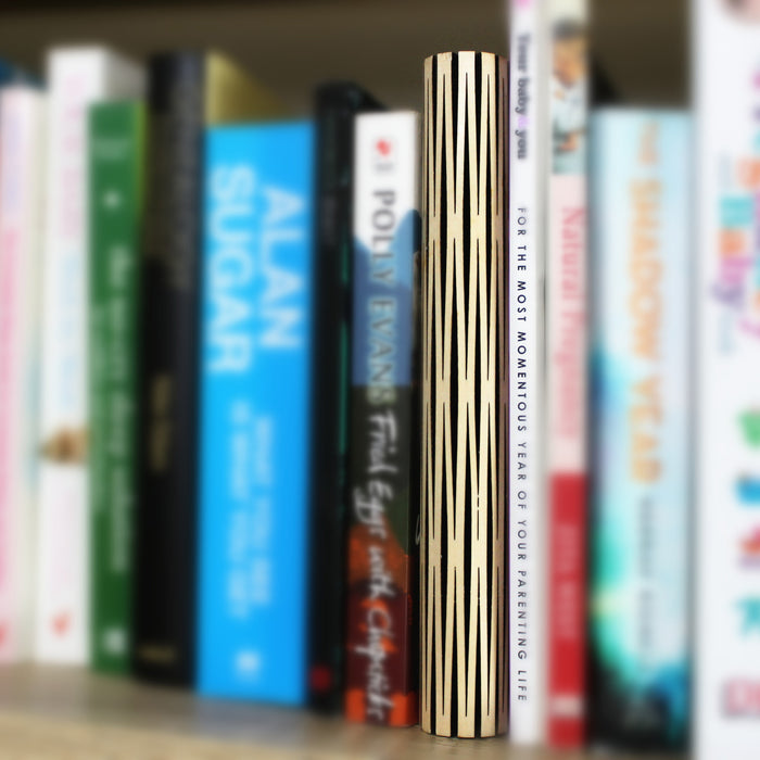 Gingko Smart LED Book Light Mini Lamp