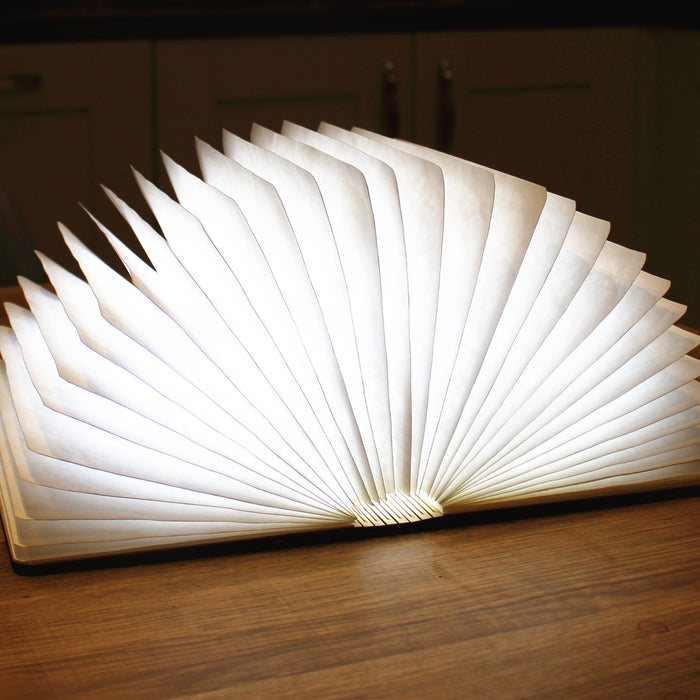 Gingko Smart LED Book Light Mini Lamp