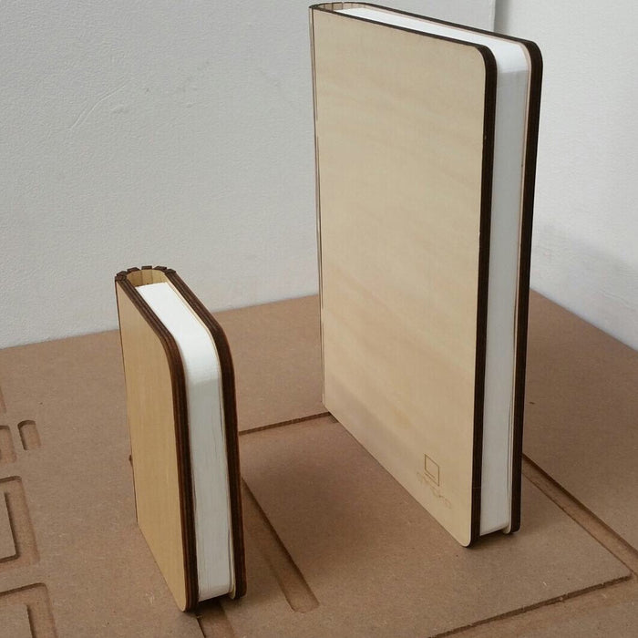 Gingko Smart LED Book Light Mini Lamp