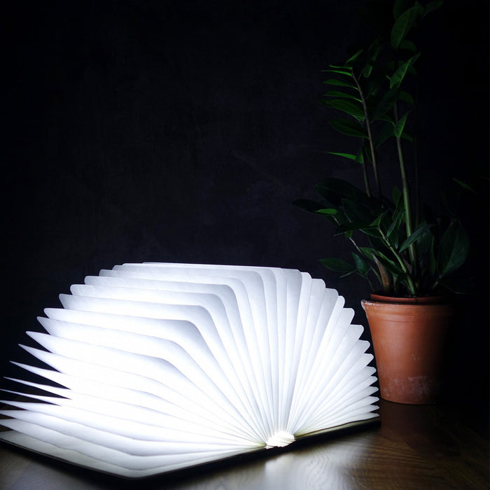 Gingko Smart LED Book Light Mini Lamp